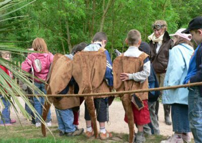 A la rencontre des animaux à poche