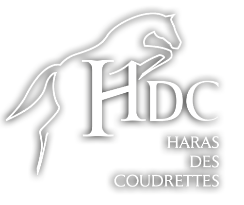 hdc-logo-white-shadow